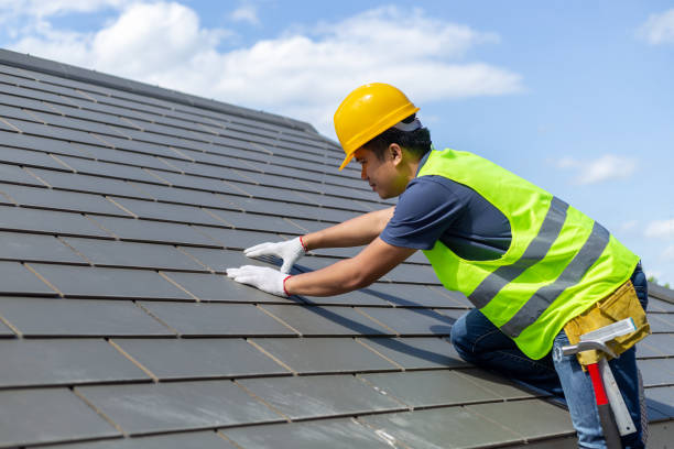 Best Shingle Roofing Installation  in Encinal, TX