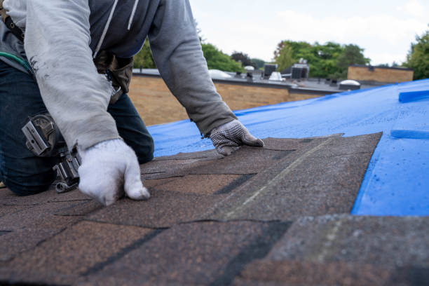 Quick and Trustworthy Emergency Roof Repair Services in Encinal, TX