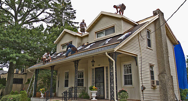 Best Storm Damage Roof Repair  in Encinal, TX